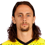 苏博蒂奇(Neven Subotic)