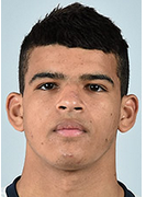 索兰克(Dominic Ayodele Solanke-Mitchell)