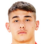 沙巴尼(Meritan Shabani)